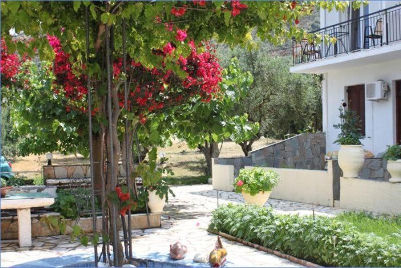 Ballas Apartments Agia Efimia Ngoại thất bức ảnh